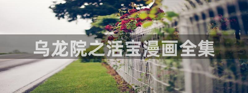 香蕉文化,漫画：乌龙院之活宝漫画全集