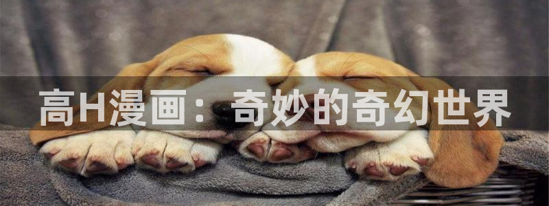 香蕉漫画破解：高H漫画：奇妙的奇幻世界