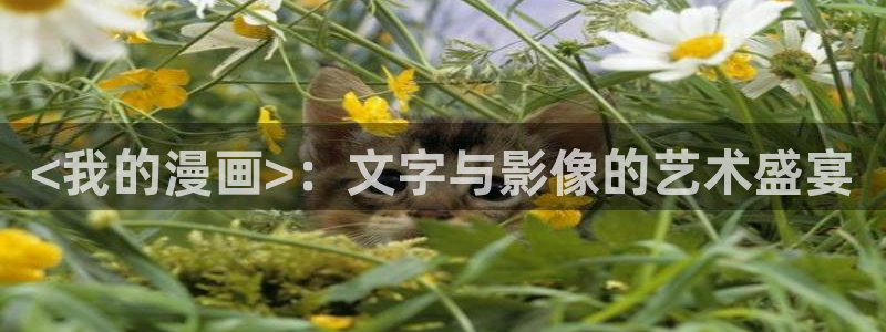 香蕉文化免费看漫画的：<我的漫画>：文字与影像的艺术盛宴