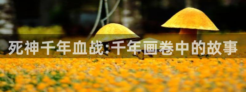 香蕉漫画广告在哪：死神千年血战:千年画卷中的故事