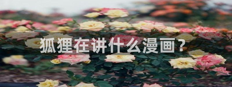 香蕉文化漫画书阅读下拉式：狐狸在讲什么漫画？