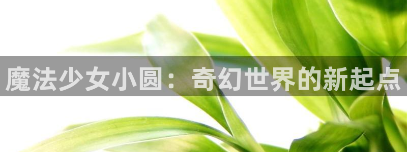 香蕉漫画在线免费看：魔法少女小圆：奇幻世界的新起点